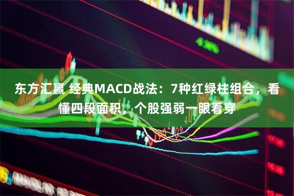东方汇赢 经典MACD战法：7种红绿柱组合，看懂四段面积，个股强弱一眼看穿