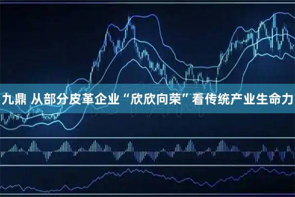 九鼎 从部分皮革企业“欣欣向荣”看传统产业生命力