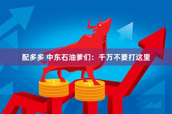 配多多 中东石油爹们：千万不要打这里