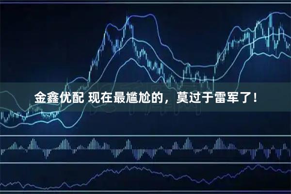 金鑫优配 现在最尴尬的，莫过于雷军了！
