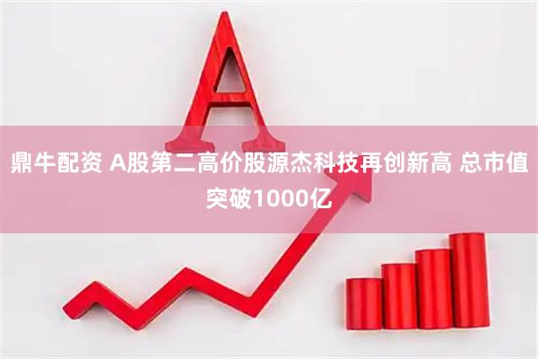 鼎牛配资 A股第二高价股源杰科技再创新高 总市值突破1000亿