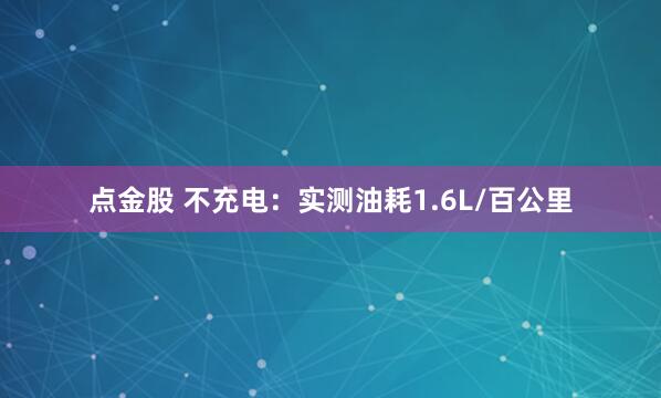 点金股 不充电：实测油耗1.6L/百公里