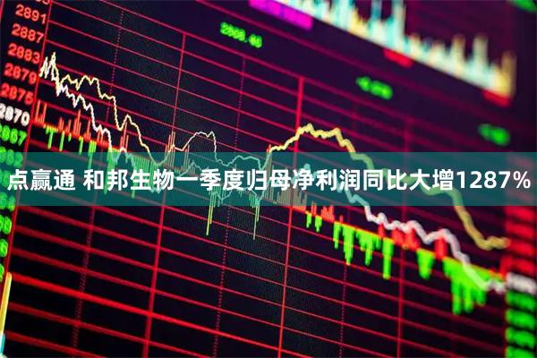 点赢通 和邦生物一季度归母净利润同比大增1287%