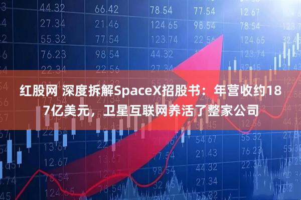 红股网 深度拆解SpaceX招股书：年营收约187亿美元，卫星互联网养活了整家公司