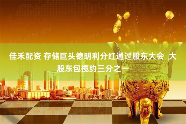 佳禾配资 存储巨头德明利分红通过股东大会  大股东包揽约三分之一