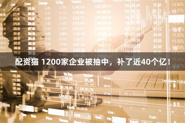 配资猫 1200家企业被抽中，补了近40个亿！