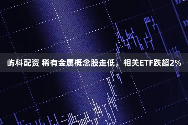 屿科配资 稀有金属概念股走低，相关ETF跌超2%