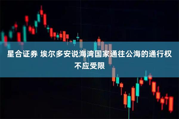 星合证券 埃尔多安说海湾国家通往公海的通行权不应受限