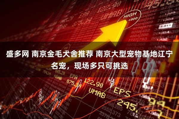 盛多网 南京金毛犬舍推荐 南京大型宠物基地江宁名宠，现场多只可挑选
