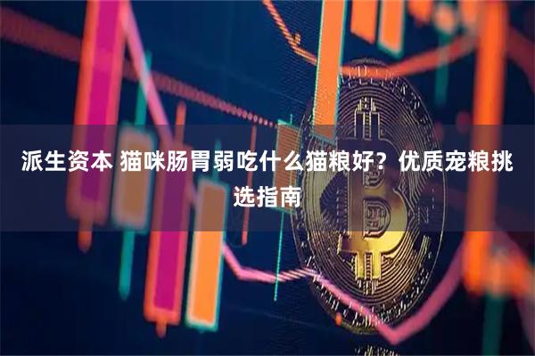 派生资本 猫咪肠胃弱吃什么猫粮好？优质宠粮挑选指南