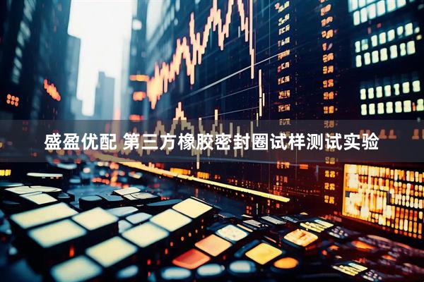盛盈优配 第三方橡胶密封圈试样测试实验