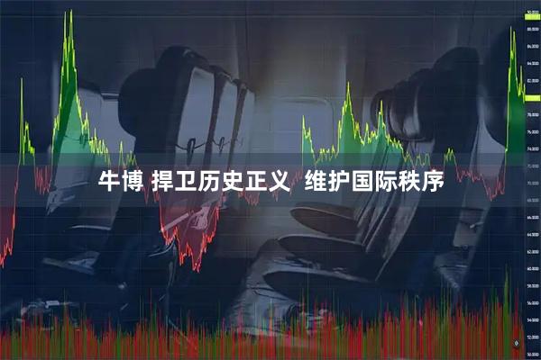 牛博 捍卫历史正义  维护国际秩序