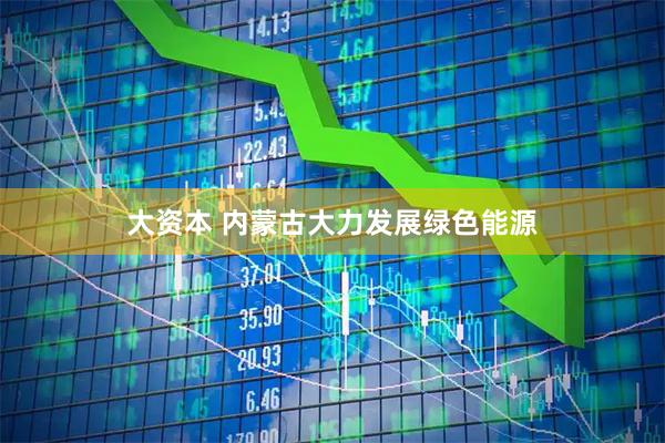 大资本 内蒙古大力发展绿色能源
