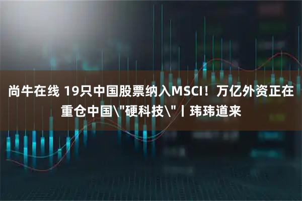尚牛在线 19只中国股票纳入MSCI！万亿外资正在重仓中国