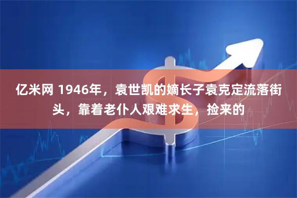 亿米网 1946年，袁世凯的嫡长子袁克定流落街头，靠着老仆人艰难求生，捡来的