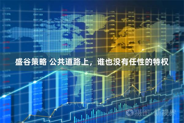 盛谷策略 公共道路上，谁也没有任性的特权